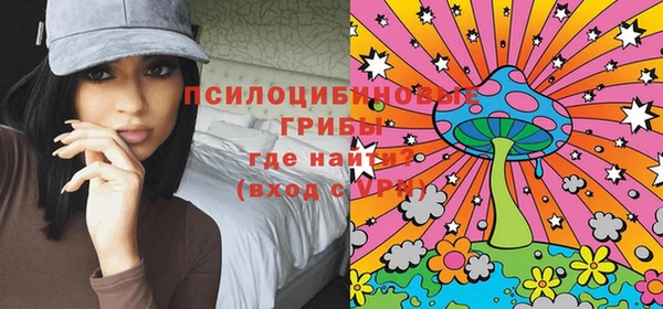дмт Алексин