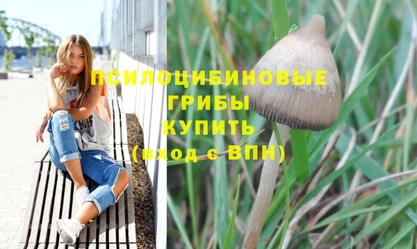 ешки Рославль
