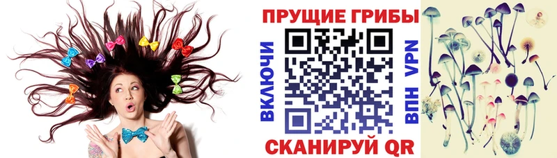 нарко площадка состав  Енисейск  hydra онион  Псилоцибиновые грибы Cubensis  купить закладку 